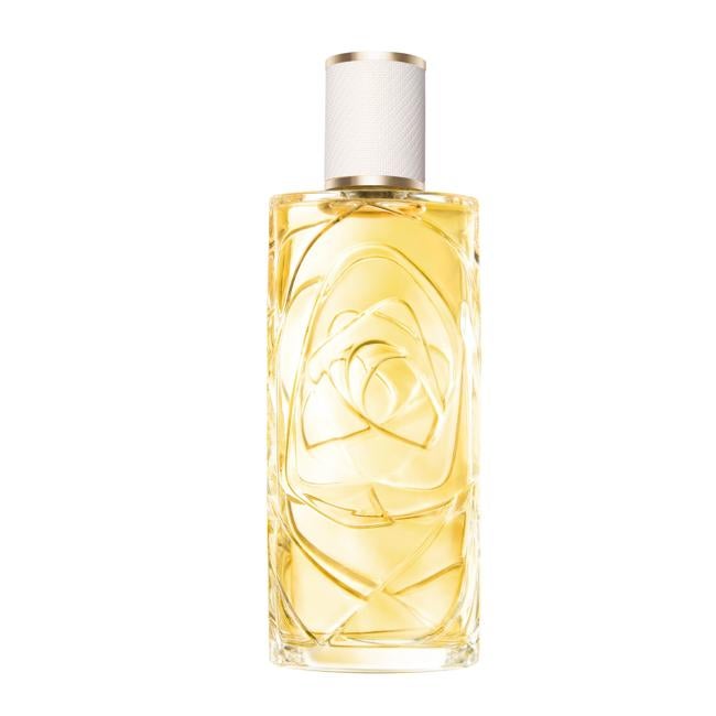 O Zenith de Lancôme. (98 euros).
